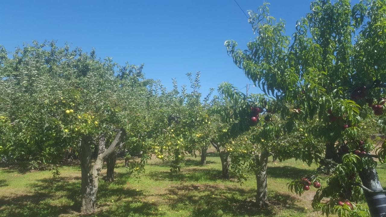 Quinta Do Serrado De Belmonte Belmonte  Zewnętrze zdjęcie